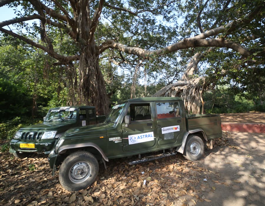Forest Department patrol vehicles provided for Ranthambhore Tiger Reserve