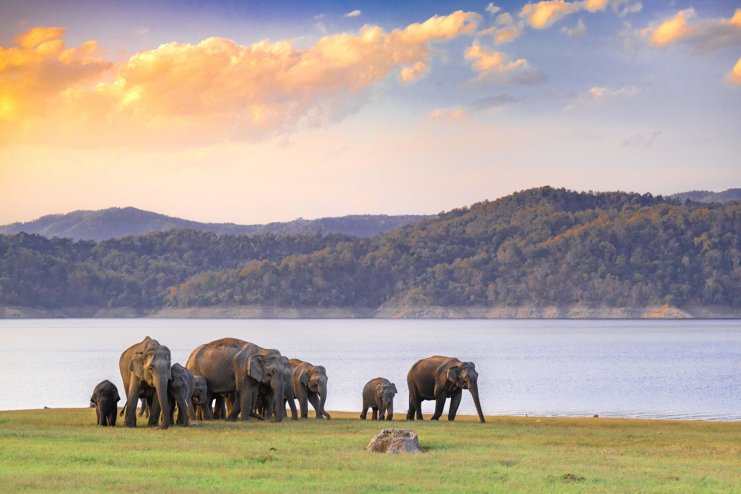 Kabini wildlife and landscape photograph 2