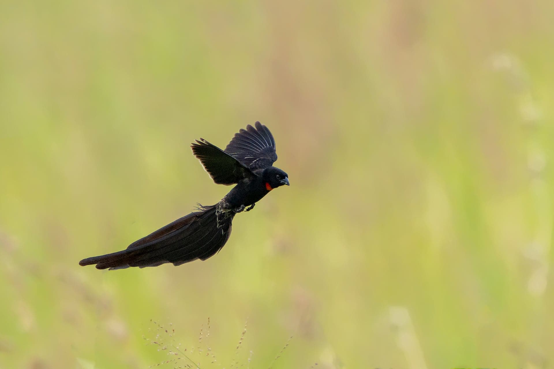 Queen Elizabeth National Park wildlife and landscape photograph 3