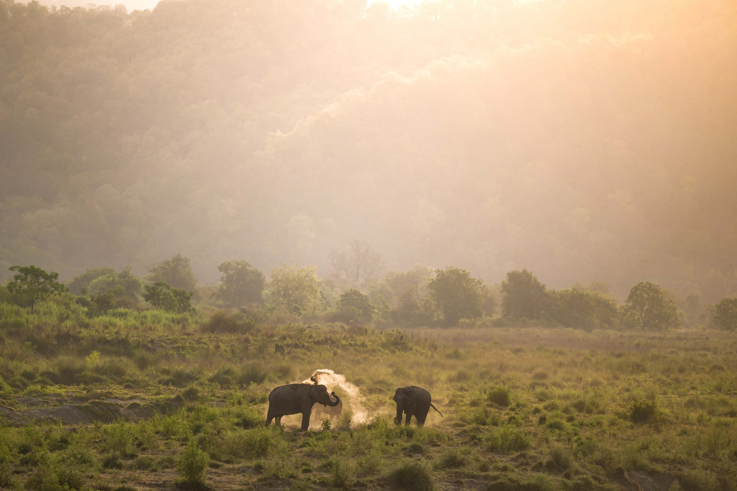 Sattal & Pangot wildlife and landscape photograph 2