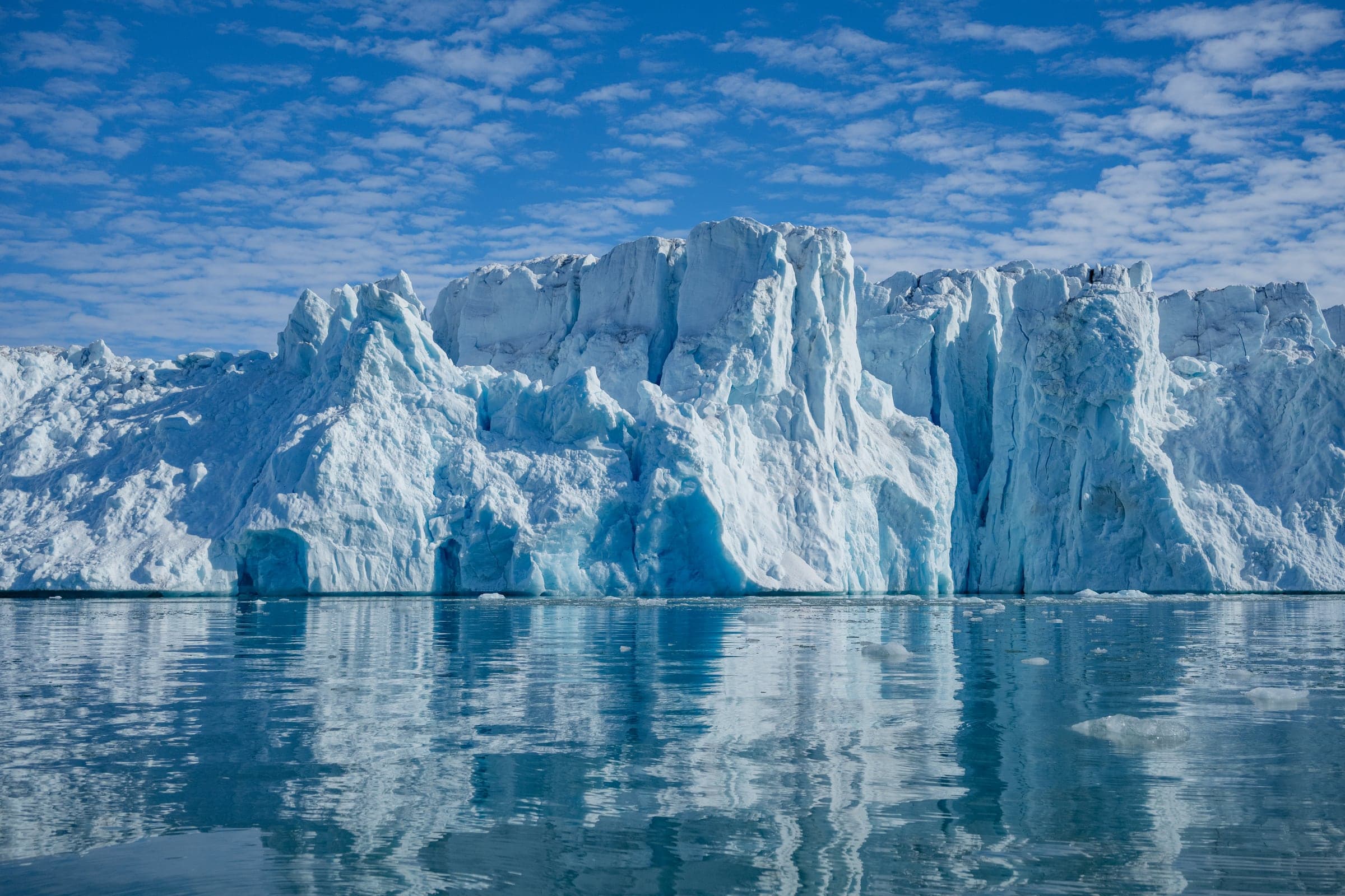 Svalbard wildlife and landscape photograph 1