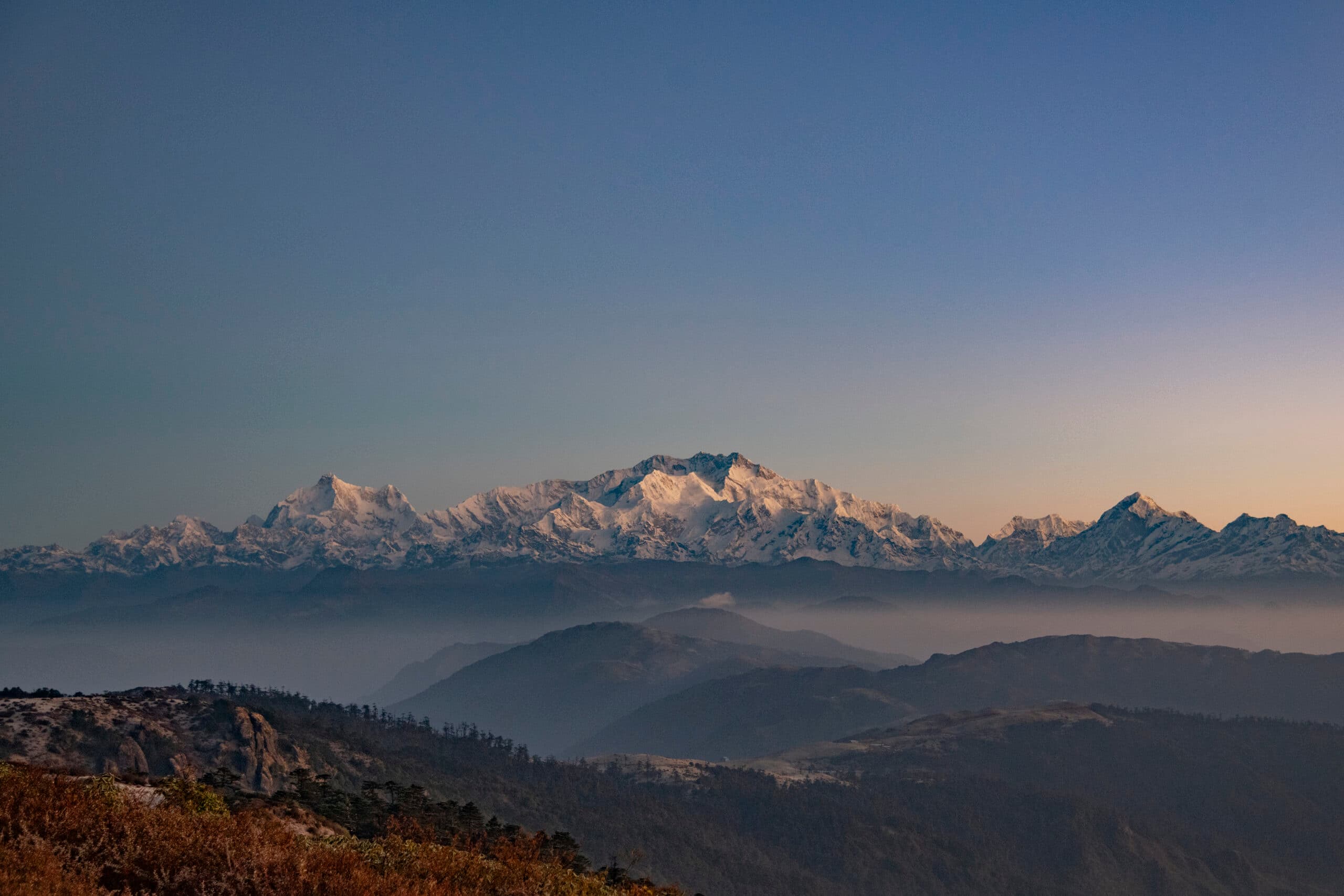 Trail of the Himalayan Firefox gallery image 2