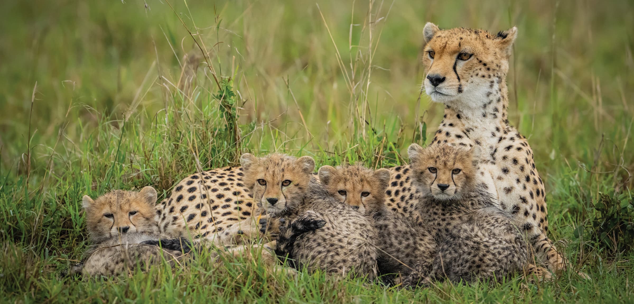 Kenya