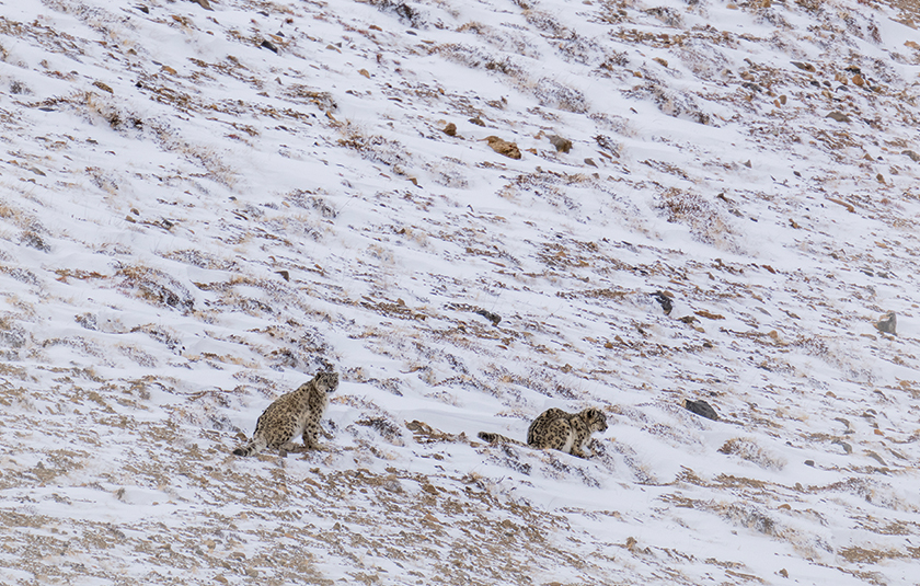 Spiti Valley gallery image 4