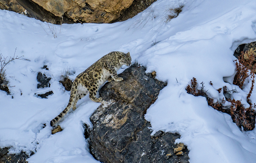 Spiti Valley gallery image 2