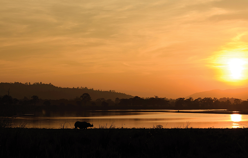 Kaziranga gallery image 3