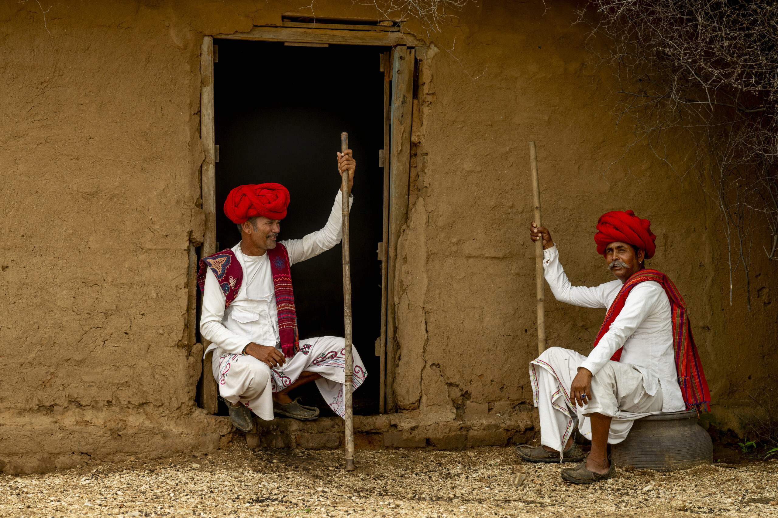 Living by Old Ways: The Rebari Reverence for Nature gallery image 2