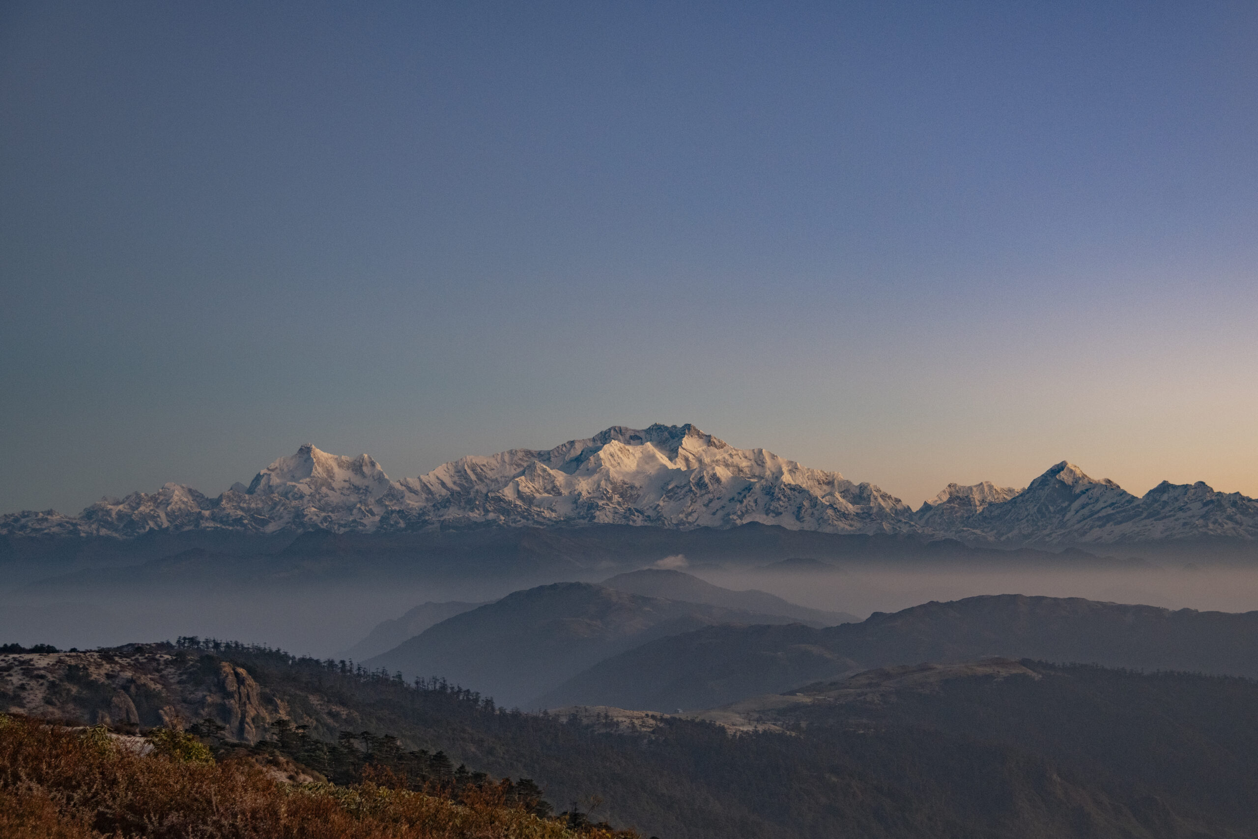 Trail of the Himalayan Firefox gallery image 2