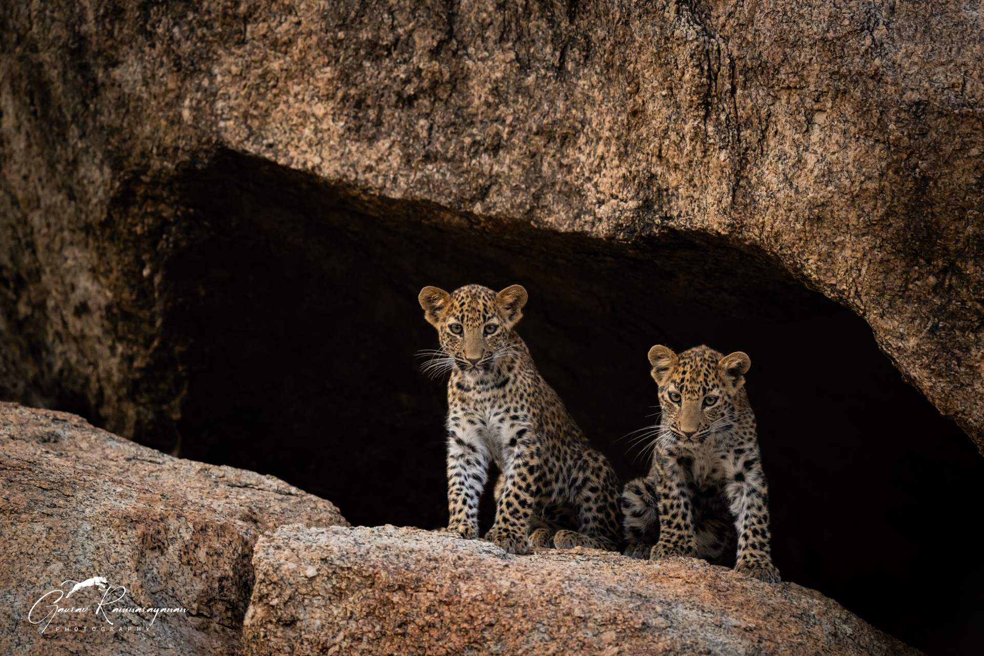 Jawai gallery image 5