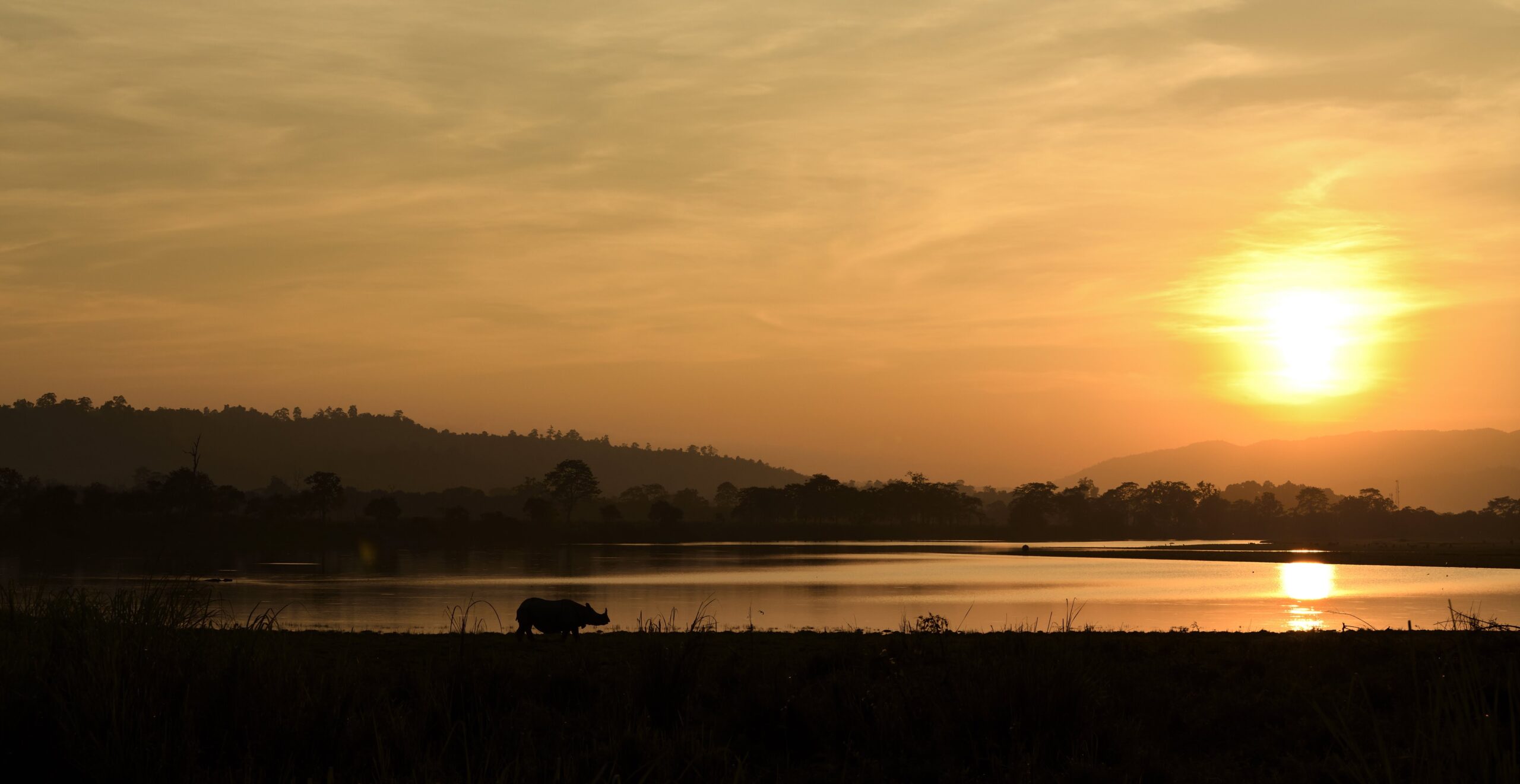 Kaziranga gallery image 6