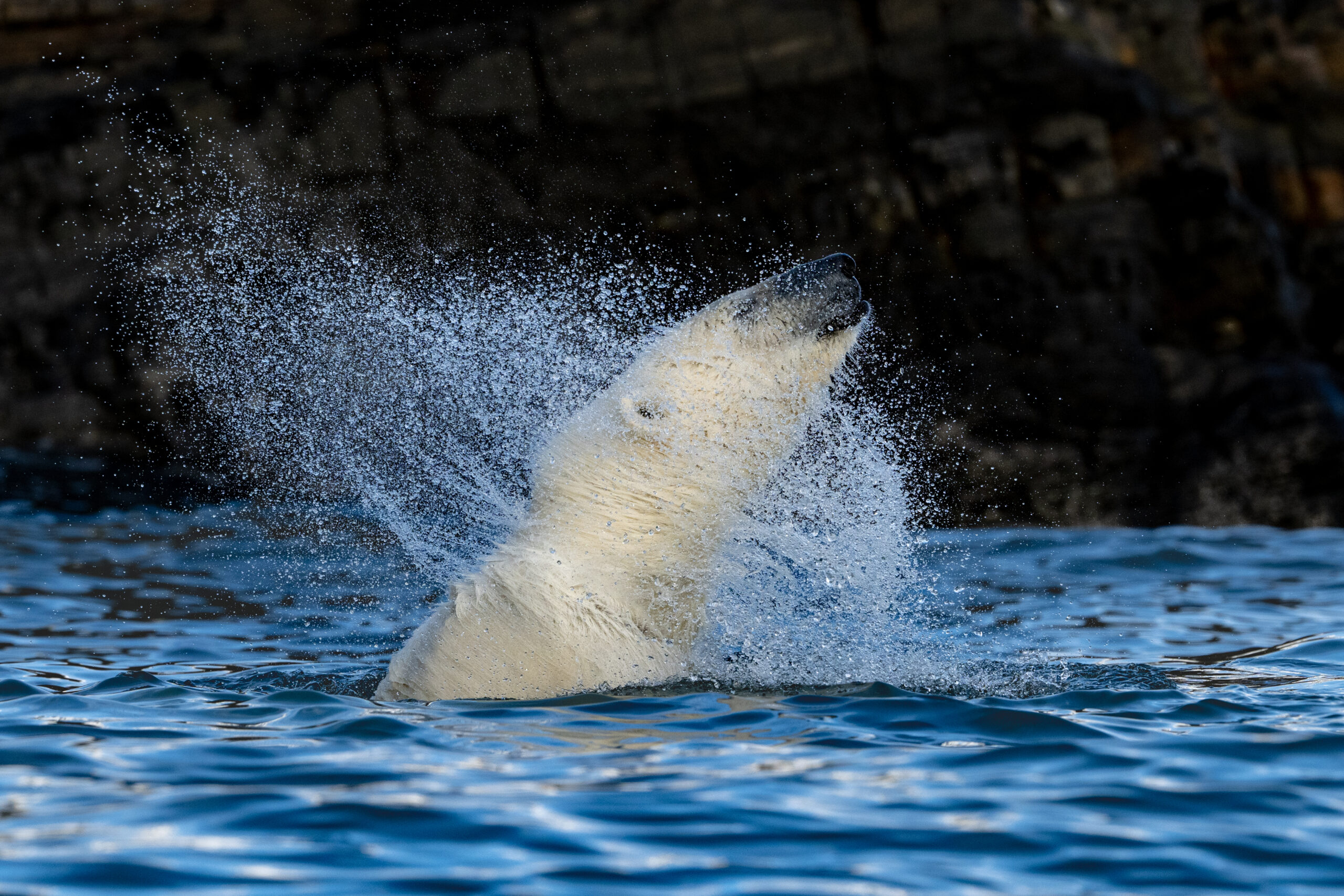 Svalbard gallery image 7