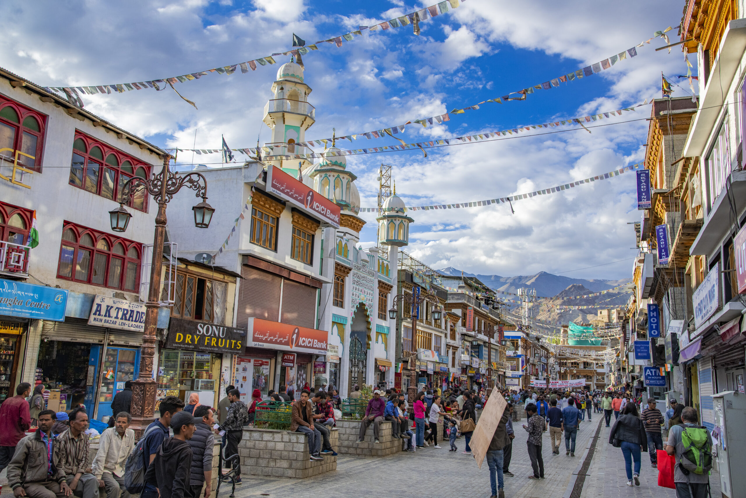 Ladakh – Land of high passes gallery image 3
