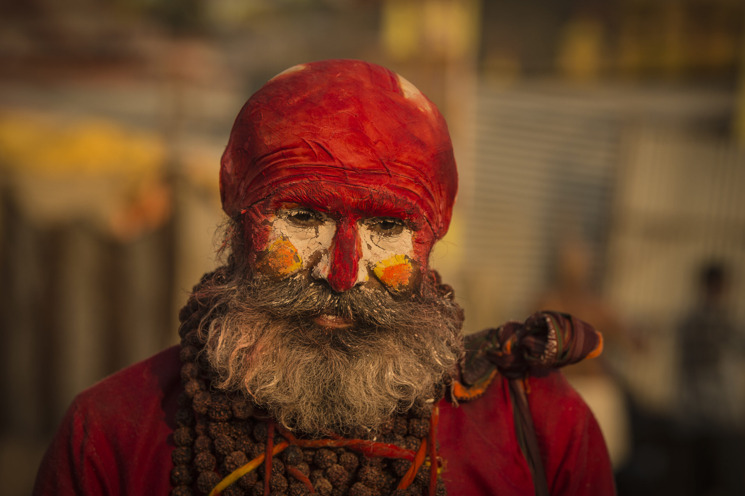 Golden Triangle & Tiger Safari gallery image 6