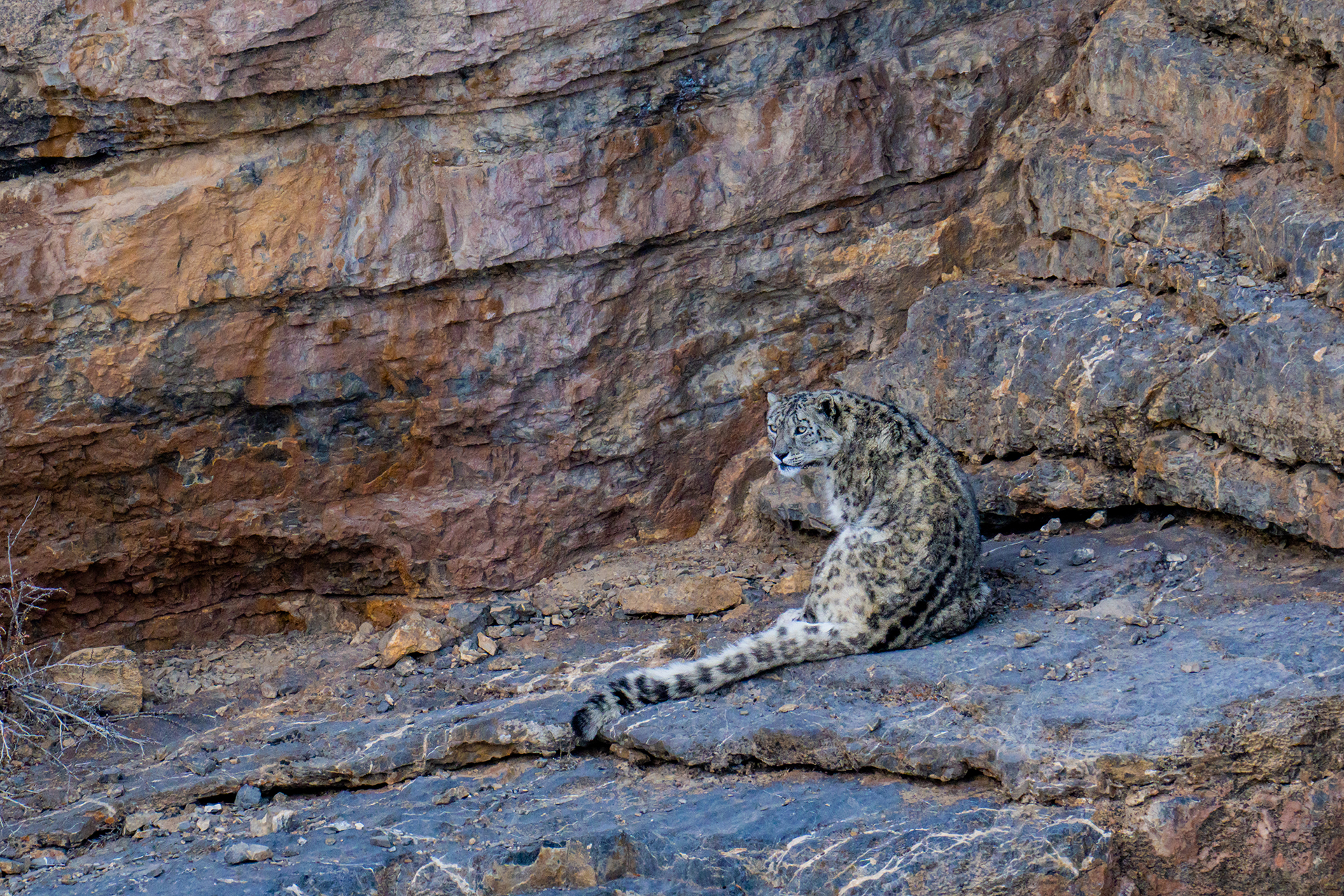 Spiti Valley gallery image 6