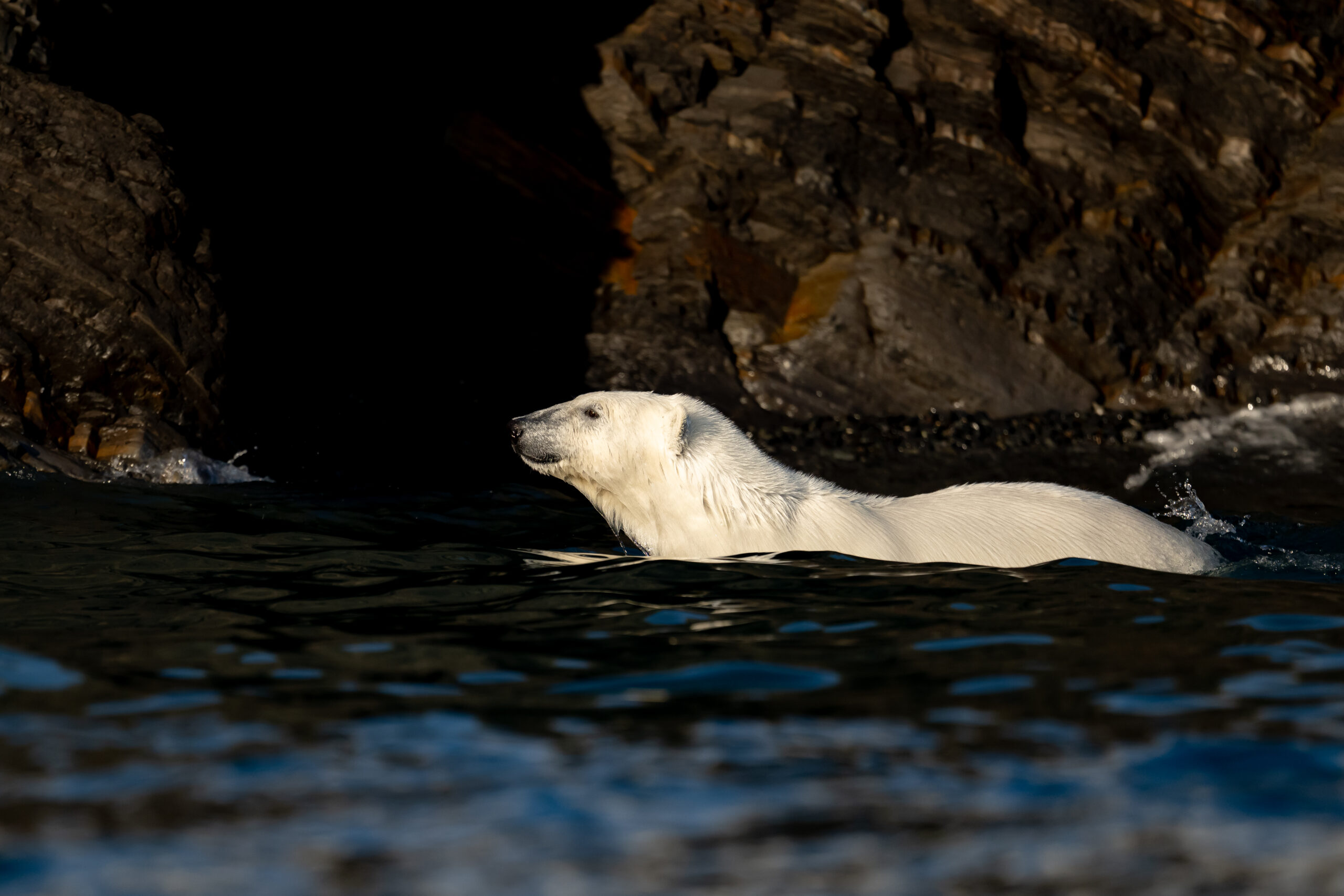 Svalbard gallery image 9