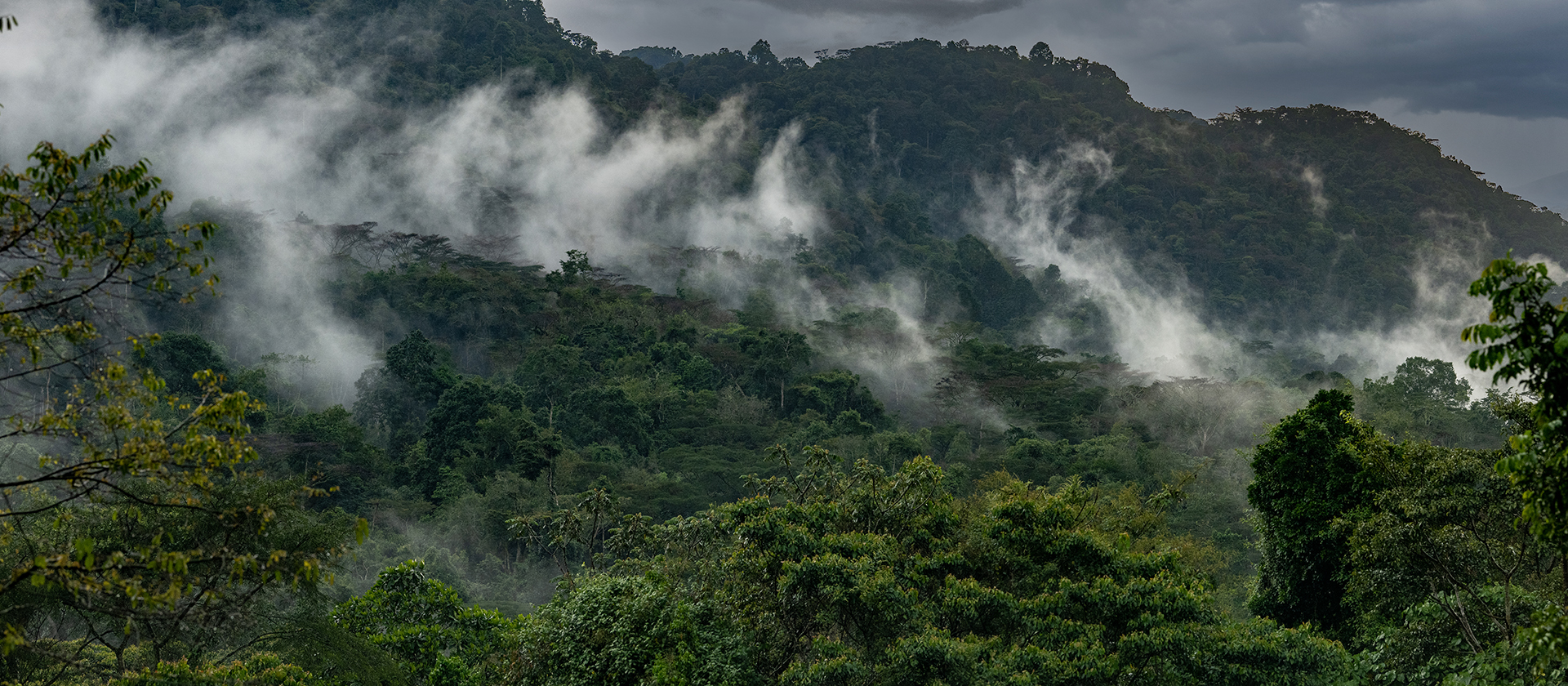 Uganda gallery image 9