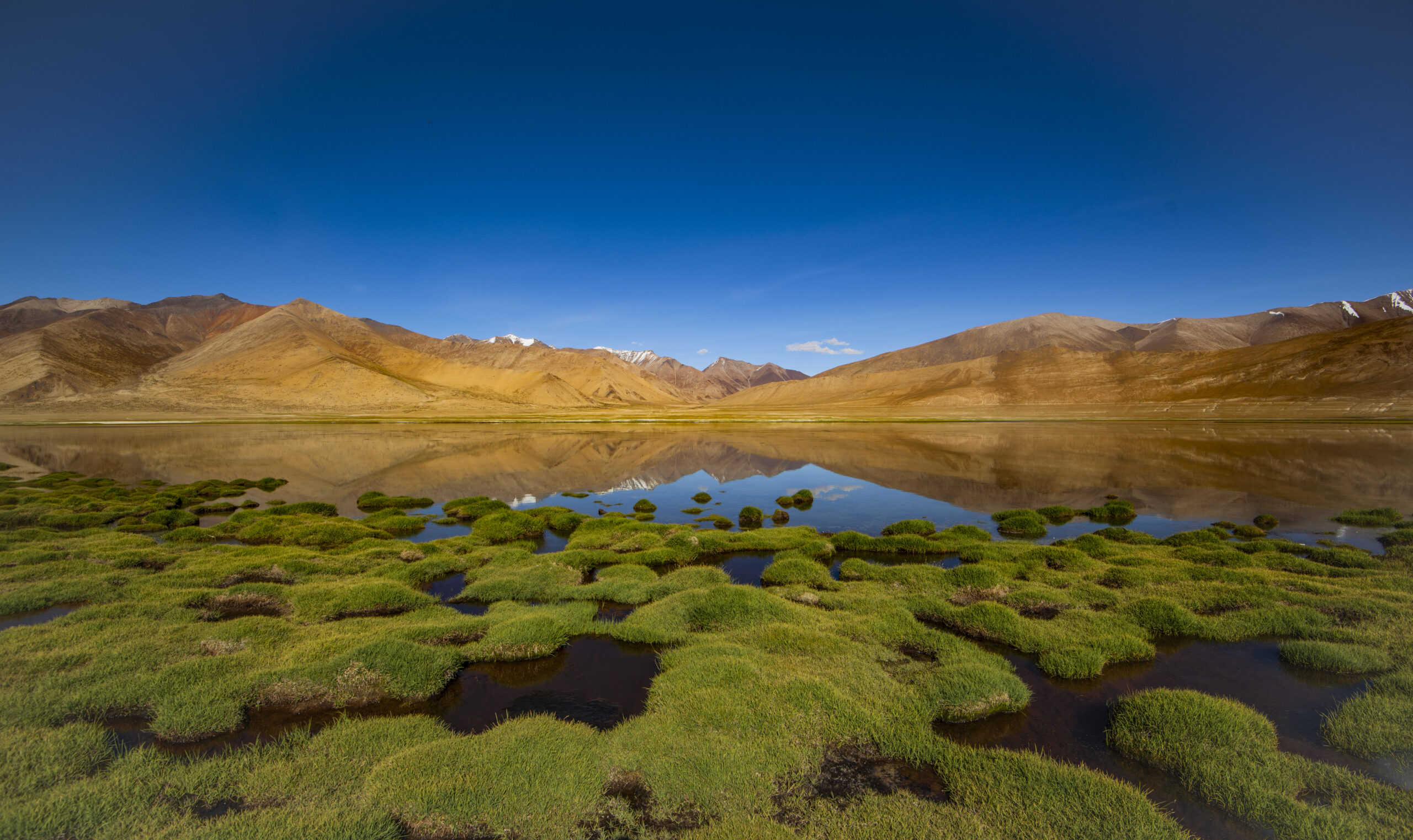 Ladakh – Land of high passes gallery image 7