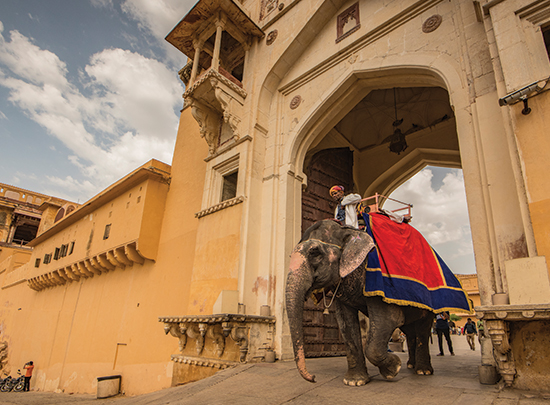 Palaces and Tigers gallery image 1
