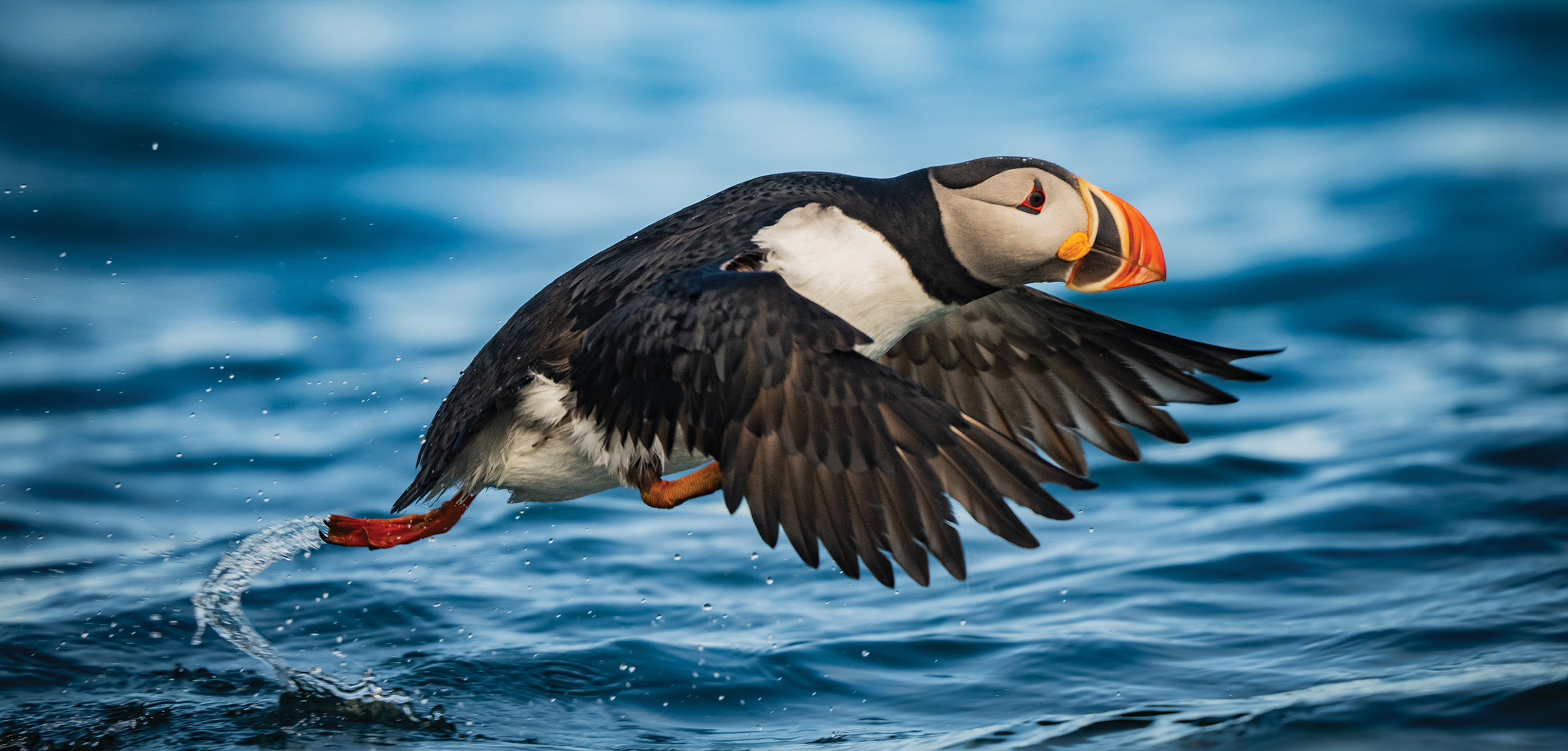 Svalbard